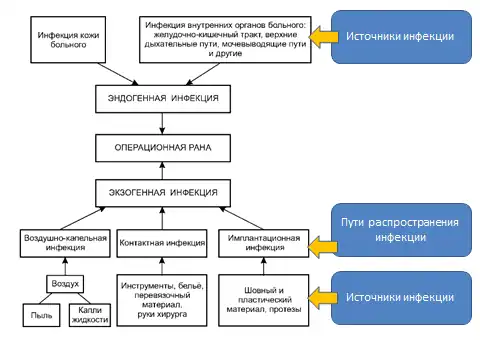 Источники хирургической инфекции и пути её распространения
